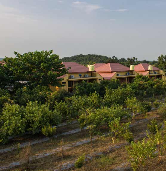 Huts in Garden