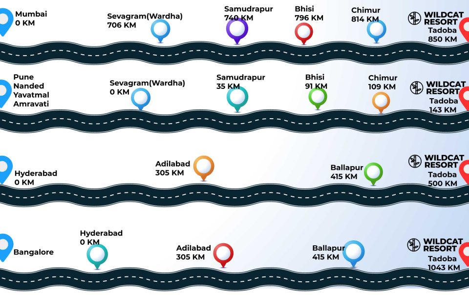 How to reach Tadoba from Pune
