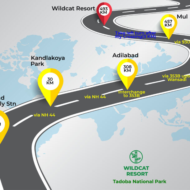 Hyderabad to Tadoba route map via Adilabad, Chandrapur, Mul, Wildcat Resort Tadoba