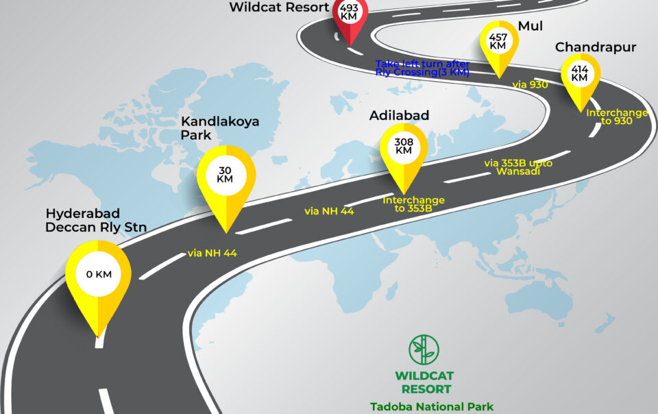 Hyderabad to Tadoba route map via Adilabad, Chandrapur, Mul, Wildcat Resort Tadoba