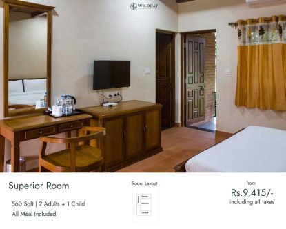 Wildcat Resort - Superior room with rate